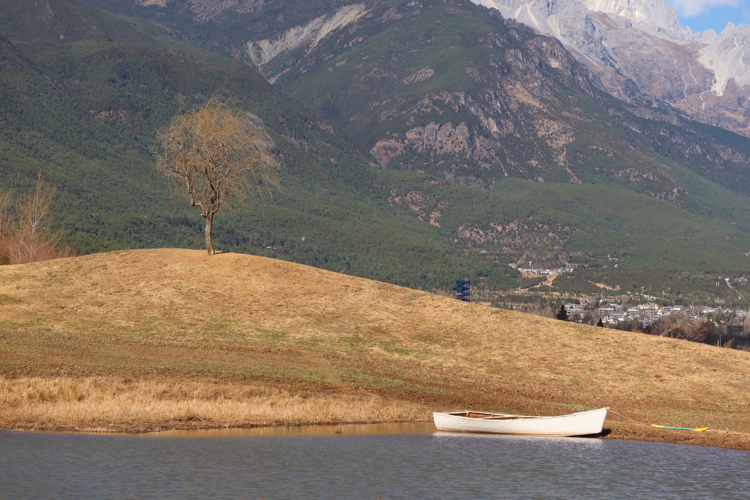 White boat on a calm lake with a lone tree and snow mountain behind